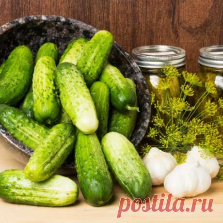 Огурцы не взрываются! (проверенный годами рецепт).  Помидоры на зиму - 6 простых рецептов