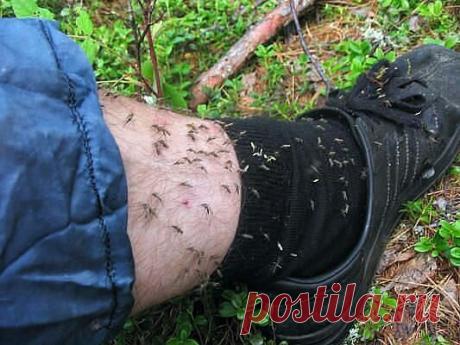 Одноклассники