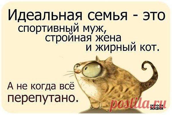 Мой Мир@Mail.Ru