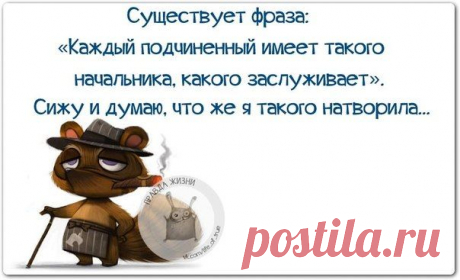 Позитивные фразочки в прикольных картинках (25 штук)