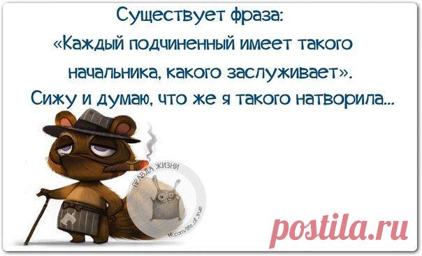 Позитивные фразочки в прикольных картинках (25 штук)