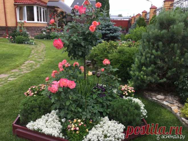 Розы, розочки, розульки!: Дневник пользователя Natka