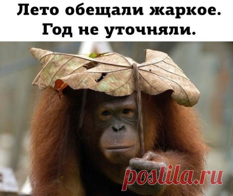 Как погодка?