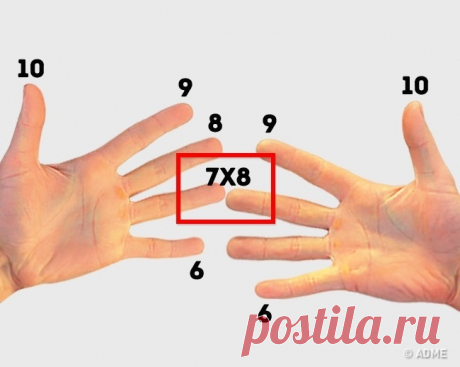 Умножение на пальцах