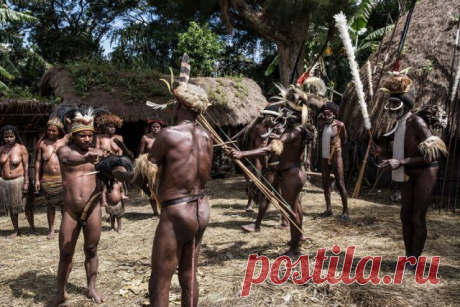 Племена папуасов - фоторепортаж из долины Балием | ТАЙНЫ ПЛАНЕТЫ ЗЕМЛЯ