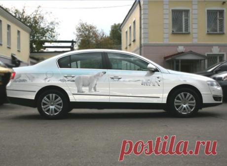 Галерея аэрографии. Белые медведи.