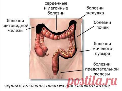 Правила, как  сделать так, чтоб кишечник работал как часы.
Обязательно с утра выпейте стакан чистой воды.
Обязательно завтракайте.
Обязательно удаляйте шлаки.
Обязательно насыщайте организм полезными бактериями-