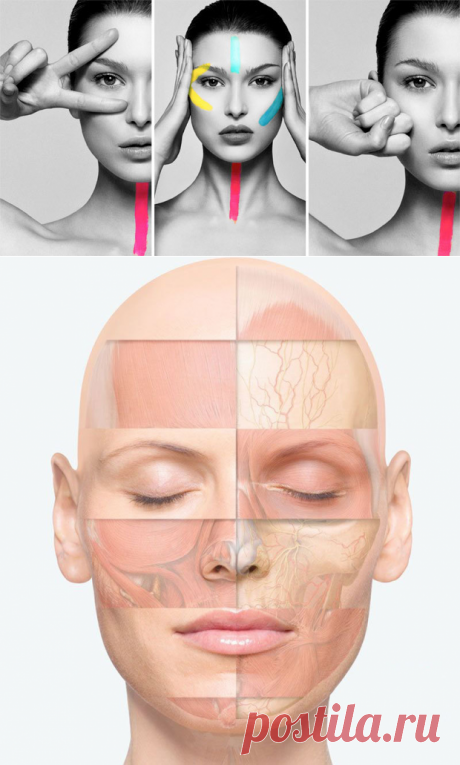 Упражнения, которые разглаживают кожу век и УКРЕПЛЯЮТ МЫШЦЫ ГЛАЗ

Методика позволит укрепить мышцы глаз и разгладить кожу век, если выполнять упражнения каждый день (желательно в утренние часы). Если действительно заниматься ежедневно, то положительного результата удастся достичь через несколько недель. ➡️ Читайте, кликнув на фото
