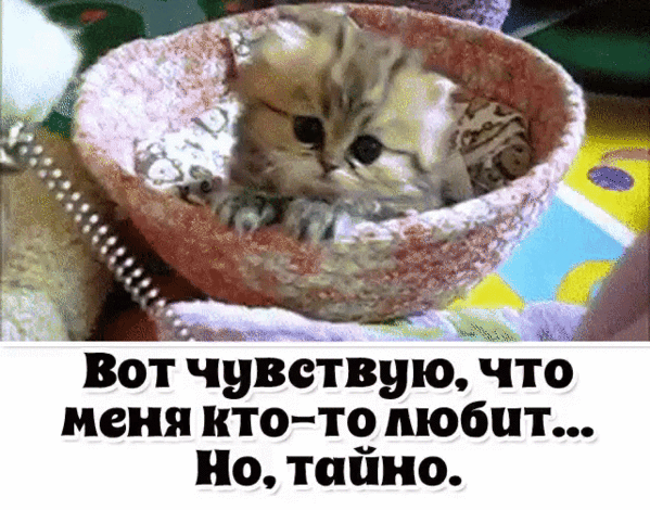 Мой Мир@Mail.Ru