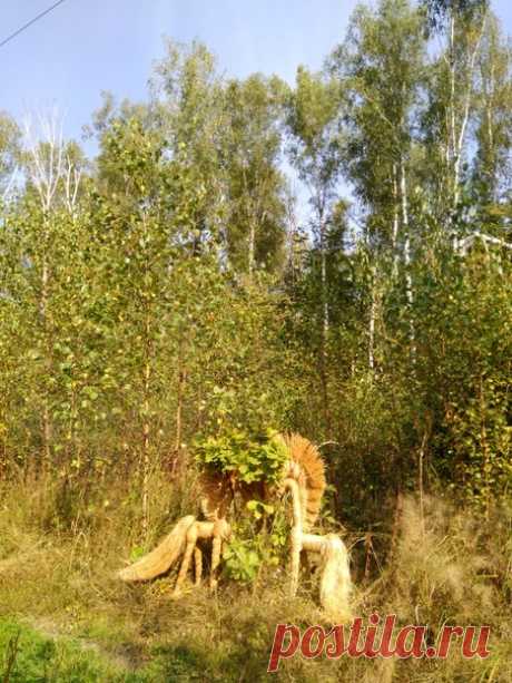 Татьяна Завидонова