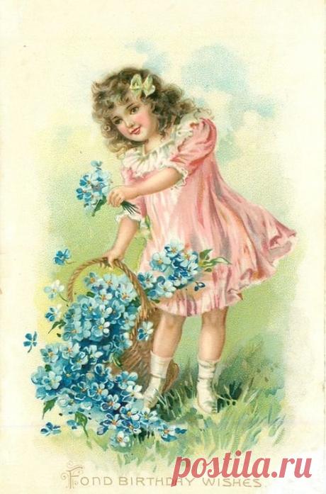 Винтажные открытки. Незабудки