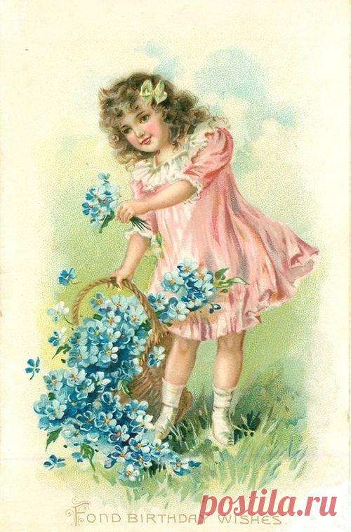 Винтажные открытки. Незабудки