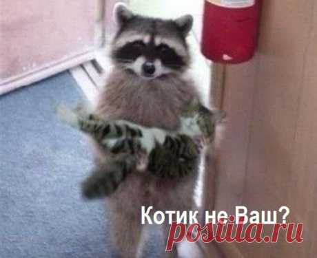 -Кто потерял, а я нашёл? Верну с доплатой!!!