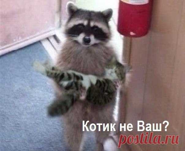 -Кто потерял, а я нашёл? Верну с доплатой!!!