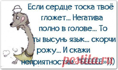Одноклассники
