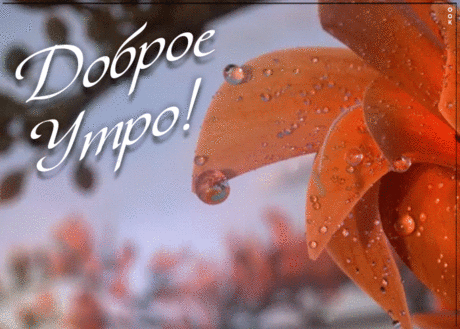 Нежная картинка с добрым утром