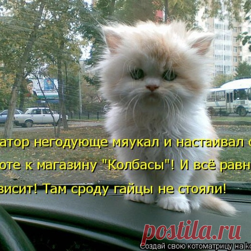 Уфф!!! Ну наконец-то! Котоматрицы великолепные, каждая с улыбкой и хорошим настроением!