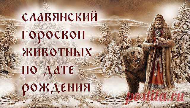 (56) Одноклассники