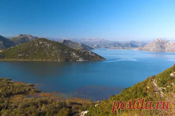 Momir Matkovic - Momir Matkovics Fotos | Facebook