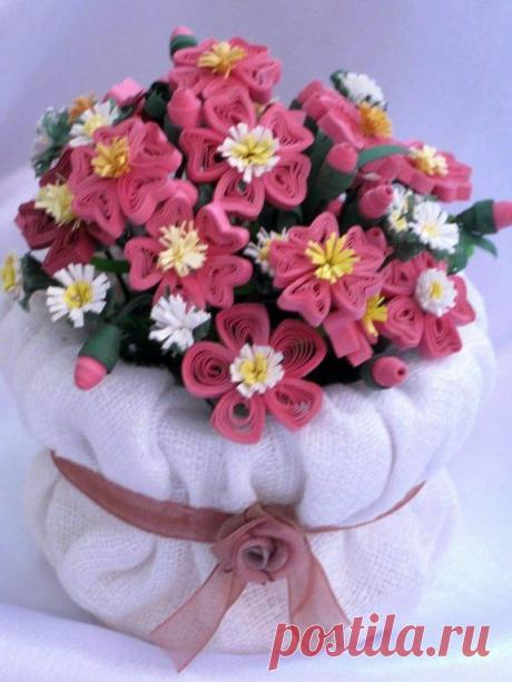 Фотографии на стене сообщества | 32 803 фотографии