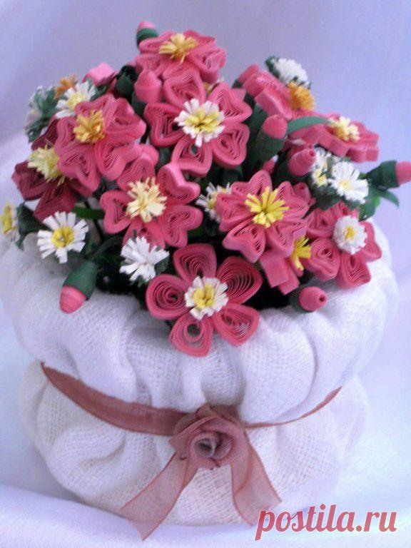 Фотографии на стене сообщества | 32 803 фотографии