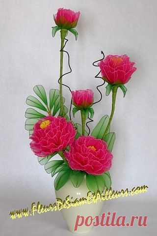 Сарочка Черныш
Израиль, Petah Tikva