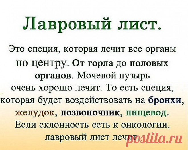 ЛАВРОВЫЙ ЛИСТ В ПОМОЩЬ
Именно остеохондроз является причиной боли в спине в 80% случаев.
Для тех, у кого застарелый остеохондроз, лучше любых мазей из аптеки помогают средства на основе лаврового листа.
Вот отличные рецепты:
1) Лавровое масло. Залить стаканом оливкового масла 1 ст. ложку мелко нарезанных лавровых листьев и настаивать 15 дней в теплом месте. Лучше всего втирать масло в больные места на ночь, а потом тепло укутываться.
2) Настой. Взять 1 ч. ложку измельченных листьев и залить