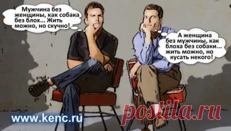 Юмор в отношениях. Женская мудрость – не замечать мужские глупости))) » Женский Мир