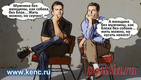 Юмор в отношениях. Женская мудрость – не замечать мужские глупости))) » Женский Мир