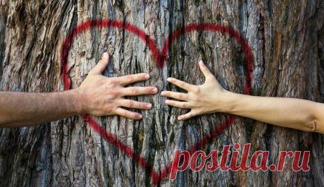 Никаких разбитых сердец в этот раз: 12 признаков того, что ваши отношения будут длиться долго
Боитесь, что вам разобьют сердце, или переживаете, что в итоге зря потратите время на кого-то? Вам необходимо понять эти признаки того, что ваши отношения продлятся …
Читай дальше на сайте. Жми подробнее ➡