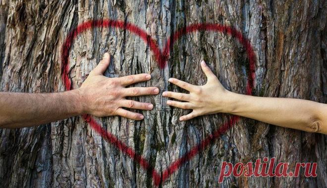 Никаких разбитых сердец в этот раз: 12 признаков того, что ваши отношения будут длиться долго
Боитесь, что вам разобьют сердце, или переживаете, что в итоге зря потратите время на кого-то? Вам необходимо понять эти признаки того, что ваши отношения продлятся …
Читай дальше на сайте. Жми подробнее ➡