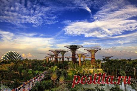Футуристические сады Сингапура - Путешествуем вместе