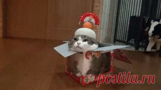 Одноклассники