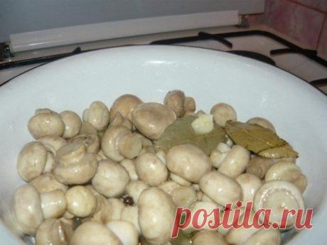 Вам, женщины. Маринуйте грибы сами.- Рецепты| Красота| Здоровье