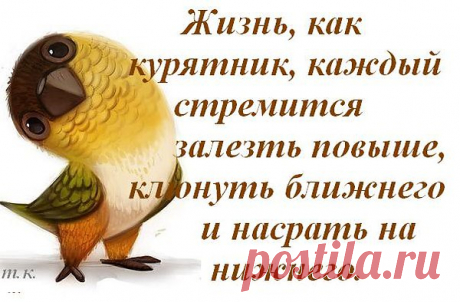 Интересные новости
