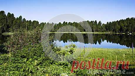Stock Photos, Royalty-Free Images & Video Footage By Dreamstime Stock Photography