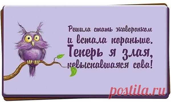 Gallery.ru / Фото #5 - О наболевшем. Про недосып :) - Inari