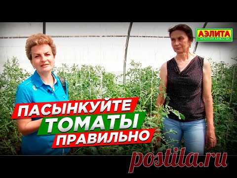 Пасынкование томатов ТОЛЬКО ТАКИМ СПОСОБОМ. Ошибки садоводов.