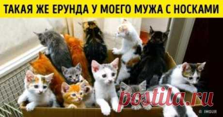 Наверное, если бы не было людей с остро отточенным чувством юмора, мы бы смеялись вдвое меньше. Но поток интернет-шуточек вряд ли когда-нибудь иссякнет, так что любуйтесь на дроида, мешающего блины глазами, добрую мухобойку и остальную чертову дюжину картинок с подписями, которые гарантированно повышают настроение.
