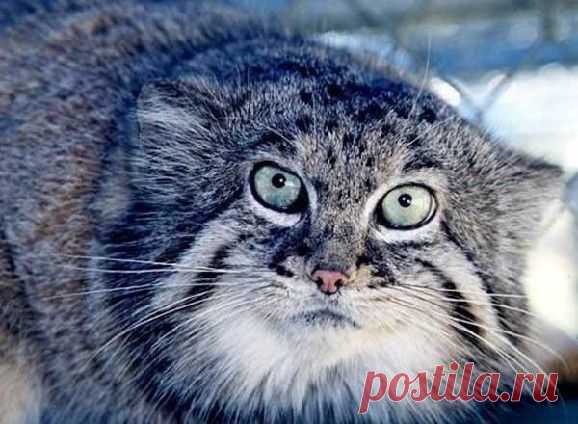 Мой Мир@Mail.Ru