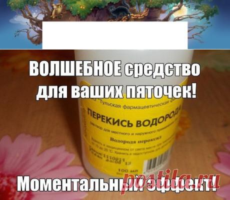 (3) Одноклассники