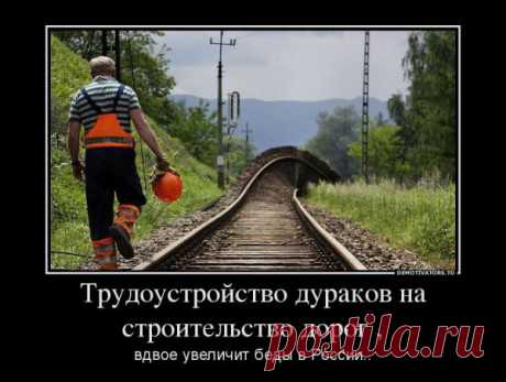 Дураки и дороги