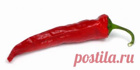 Острая пища снижает риск смерти | Образовательная программа: компендиум здоровья.