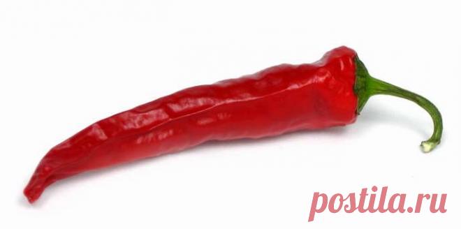 Острая пища снижает риск смерти | Образовательная программа: компендиум здоровья.