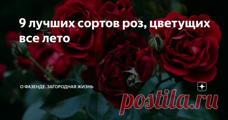 9 лучших сортов роз, цветущих все лето Топ-9 лучших сортов роз по мнению цветоводов: Авила Палас, Айсберг, Акварель, Боника 82, Доминик Луазо, Король Артур, Лондонский Сити, Полька 91, Ругоза Альба. Кустарники радуют пышным цветением весь теплый сезон, переносят сильные морозы, обладают повышенным иммунитетом к различным заболеваниям.