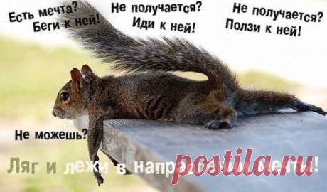 Как разрешить себе мечтать