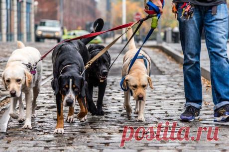 Рассказ: «Свадьба в трамвае». Глава 15. Укромное место.
Начало (ссылка) Предыдущая глава (ссылка) Лето набирало свои обороты. Вокруг пели птицы, шумели зелёные кроны деревьев и дворники поливали палисадники у подъездов. Это было странное лето: на детских площадках, вместо шумных малышей, можно было увидеть только ограничительные ленты, а редкие прохожие прятали лица в тряпичных масках. Зато стало...
Читай пост далее на сайте. Жми ⏫ссылку выше