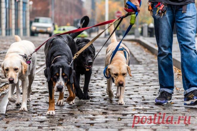 Рассказ: «Свадьба в трамвае». Глава 15. Укромное место.
Начало (ссылка) Предыдущая глава (ссылка) Лето набирало свои обороты. Вокруг пели птицы, шумели зелёные кроны деревьев и дворники поливали палисадники у подъездов. Это было странное лето: на детских площадках, вместо шумных малышей, можно было увидеть только ограничительные ленты, а редкие прохожие прятали лица в тряпичных масках. Зато стало...
Читай пост далее на сайте. Жми ⏫ссылку выше