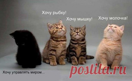 Нормы приличия / Западло
