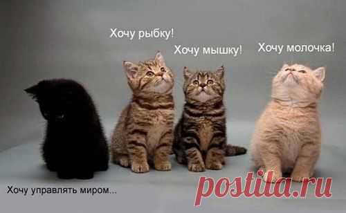 Нормы приличия / Западло